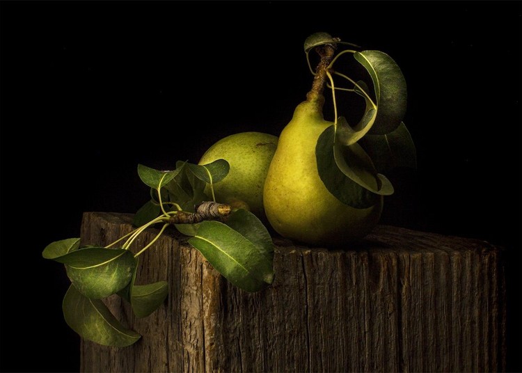 Karya jawara Close Up Photographer of the Year