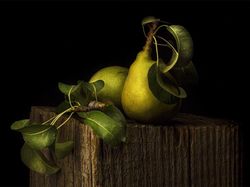 Deretan Foto Close Up Kehidupan Alam Liar yang Memukau Mata