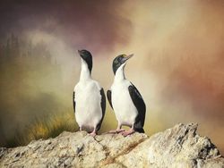 Deretan Foto Close Up Kehidupan Alam Liar yang Memukau Mata