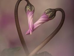 Deretan Foto Close Up Kehidupan Alam Liar yang Memukau Mata