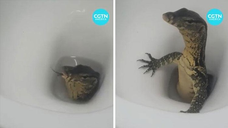 Deretan Foto yang Bikin Merinding Deretan Foto yang Bikin Merinding