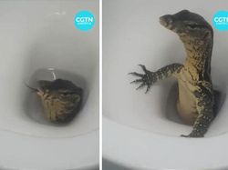 Aneh Tapi Nyata, Deretan Foto Ini Bikin Merinding