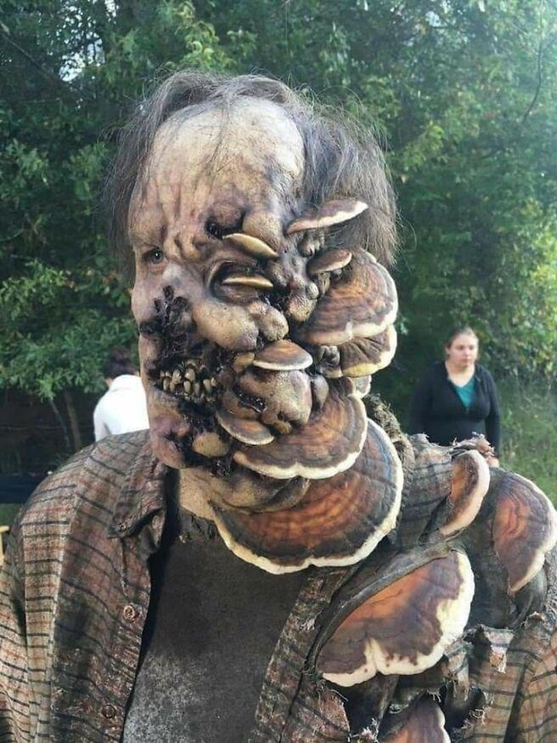 Deretan Foto yang Bikin Merinding