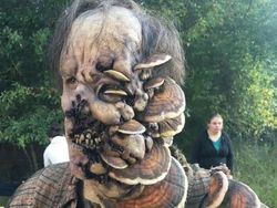 Aneh Tapi Nyata, Deretan Foto Ini Bikin Merinding