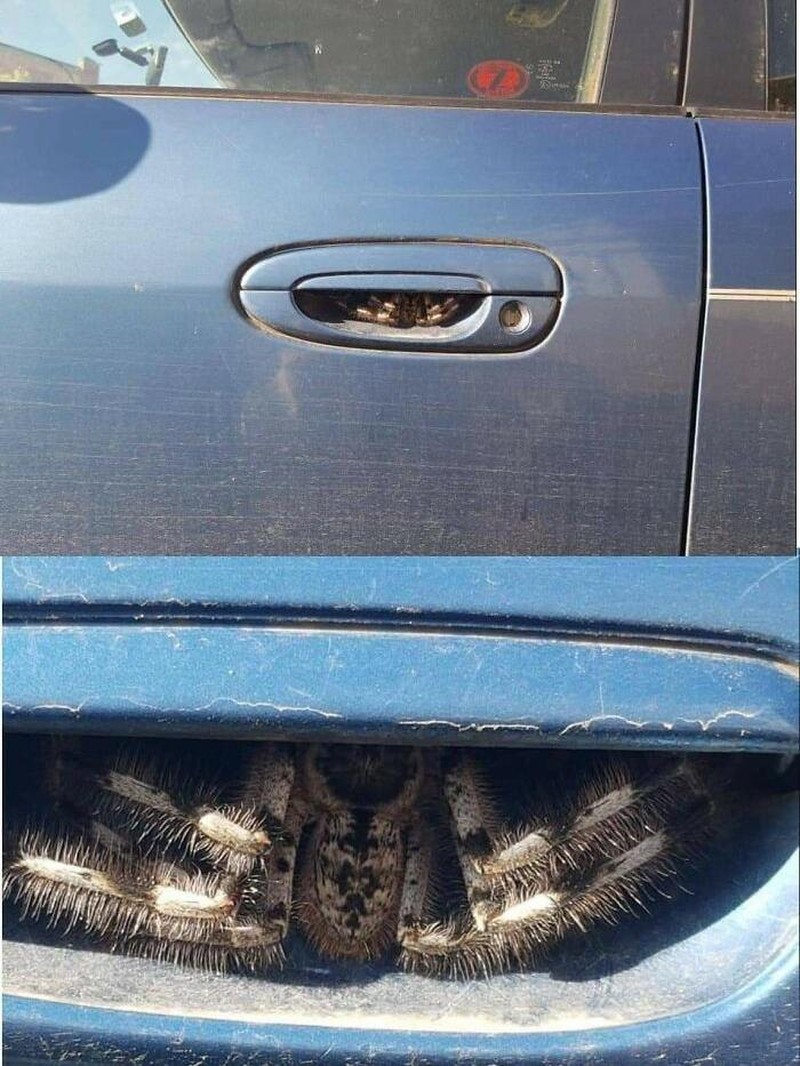 Deretan Foto yang Bikin Merinding