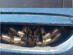 Aneh Tapi Nyata, Deretan Foto Ini Bikin Merinding