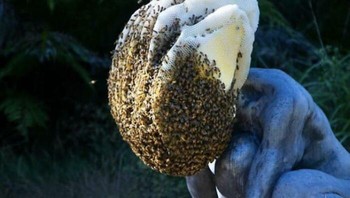 Patung dengan sarang lebah di kepala, seram banget deh bisa sebesar itu sarangnya. Dok. Boredpanda