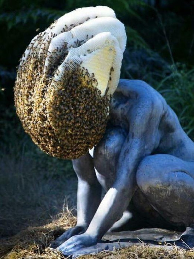 Deretan Foto yang Bikin Merinding