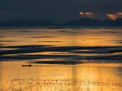 Keindahan Desa di China Ini Serba Palsu Demi Konten Instagramable