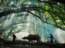 Keindahan Desa di China Ini Serba Palsu Demi Konten Instagramable