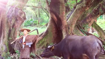 Di sela-sela pemotretan, petani dan hewan di samping mereka kadang beristirahat. Baik model manusia maupun hewan, sehari-harinya bekerja mondar-mandir berjam-jam di depan fotografer yang mengabadikan akting mereka. Foto: Weibo