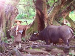 Keindahan Desa di China Ini Serba Palsu Demi Konten Instagramable