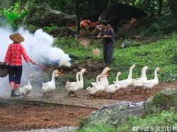 Keindahan Desa di China Ini Serba Palsu Demi Konten Instagramable