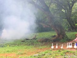 Keindahan Desa di China Ini Serba Palsu Demi Konten Instagramable