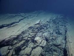 Kumpulan Fakta Soal Bumi yang Mencengangkan