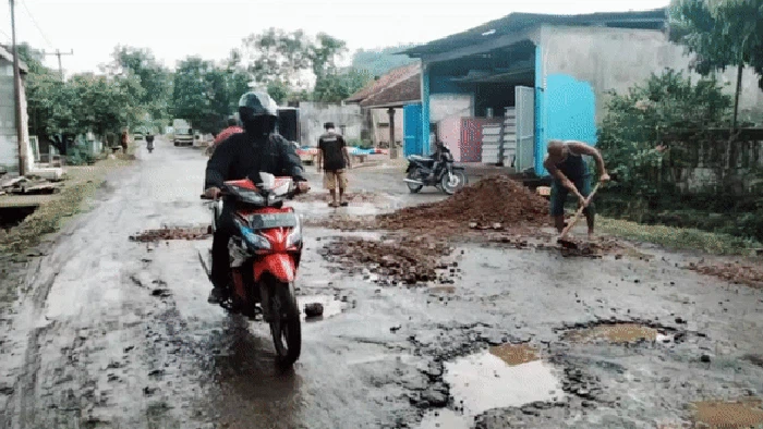 Jalan provinsi di Cianjur rusak parah hingga ditanami pisang oleh warga