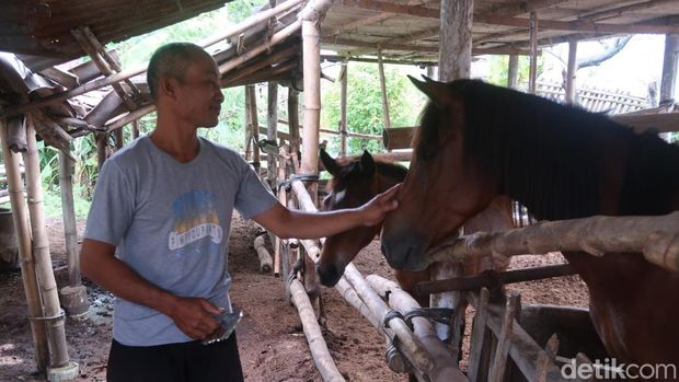 Kampung Kenalan Bantul dijuluki Kampung Andong. Alasannya banyak warganya yang bekerja sebagai kusir andong, dan peternak kuda berkualitas.