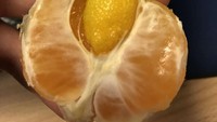 Buah jeruk ini sekilas terlihat biasa. Tapi di bagian dalamnya, terdapat buah melon kecil yang baru tumbuh. Foto: pool.