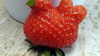 . Mirip bebek, bentuk Strawberry unik ini lebih menggemaskan dibandingkan mirip monster.