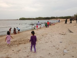 BPBD Waspadai Gelombang Pasang Air Laut di Pesisir Lamongan 24-26 Desember