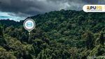 Bangun Jalan di Papua Tembus Hutan Lebat, Ini Salah Satunya