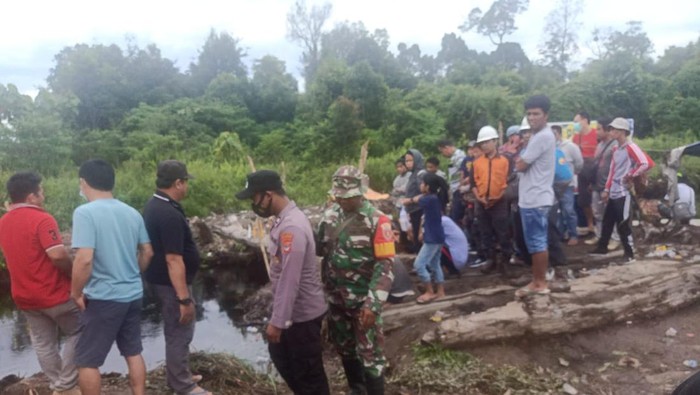 Detik-detik pria diterkam buaya di Kaltara (Dok. Istimewa)