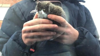 “Seekor kucing melompat ke dalam mobil saya, dan bayangan jendela saya terlihat seperti saya sedang memegangnya.” Foto: Brightside