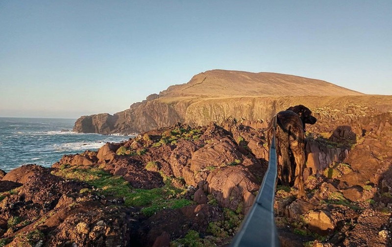 Fotoinet Kumpulan Potret Dengan Angle Kebetulan yang Lucu