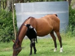 Kumpulan Potret Kebetulan yang Lucu dan Menarik