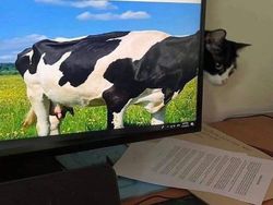 Kumpulan Potret Kebetulan yang Lucu dan Menarik