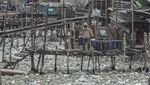 Perkampungan Nelayan Cilincing Dikepung Sampah