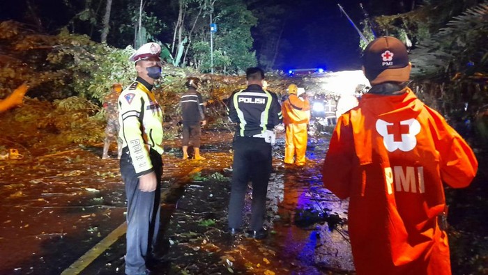Pohon tumbang di jalan nasional Banjarnegara-Wonosobo, Minggu (20/2/2022).