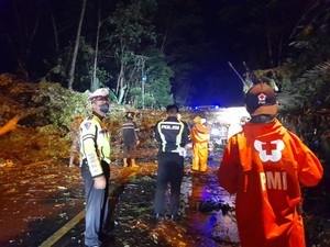 Jalur Banjarnegara-Wonosobo Macet Tertutup Pohon Tumbang