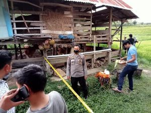 Cekcok, Petani di Sinjai Kehilangan Tangan Kiri Gegara Dibacok Tetangga