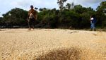 Pesona Situs Geologi Parang Ireng Banyuwangi
