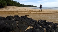 Di sini juga terdapat batuan andesit basal berwarna hitam yang berasal dari lava gunung api di selatan Jawa.