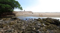Panorama batuan di pantai Parang Ireng TN Alas Purwo, Banyuwangi, Jawa Timur, Sabtu (19/2/2022).
