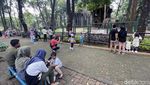 Suasana Kebun Binatang Ragunan saat PPKM Level 3