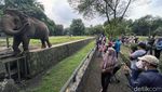 Suasana Kebun Binatang Ragunan saat PPKM Level 3