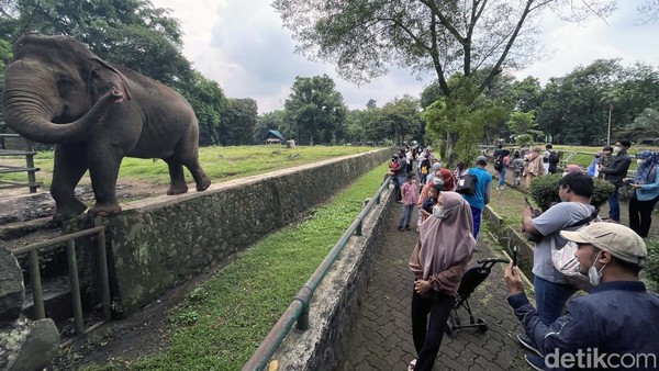Beginilah suasana di tempat wisata Kebun Binatang, Ragunan, Jakarta, Minggu (20/02/2022).