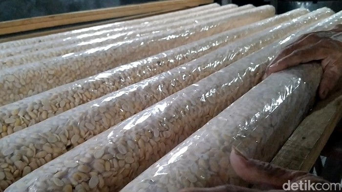 Di tengah seruan aksi mogok, perajin tempe di Kota Pekalongan lebih memilih tetap produksi, Senin (21/2/2022).