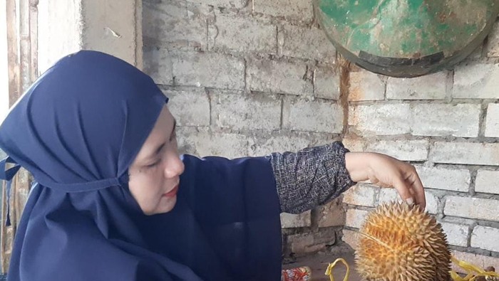 Durian montong Lamongan