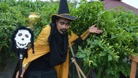 Expo Nasional Live Virtual ini juga bertujuan mendekatkan petani dengan teknologi dan akses terhadap benih unggul yang tahan terhadap penyakit, misalnya patek seperti cabai rawit RAWITA F1, dan tahan terhadap virus Gemini seperti mentimun ERINA F1 yang masing-masing memiliki potensi produksi tinggi hingga 14 ton/ha dan 50 ton/ha.