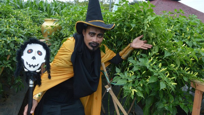 Expo Virtual untuk Petani Expo Nasional Live Virtual benih sayuran digelar untuk pertama kalinya di Indonesia dengan melibatkan lebih dari 500 petani dari Aceh hingga Papua dan bertujuan mendekatkan petani dengan teknologi.