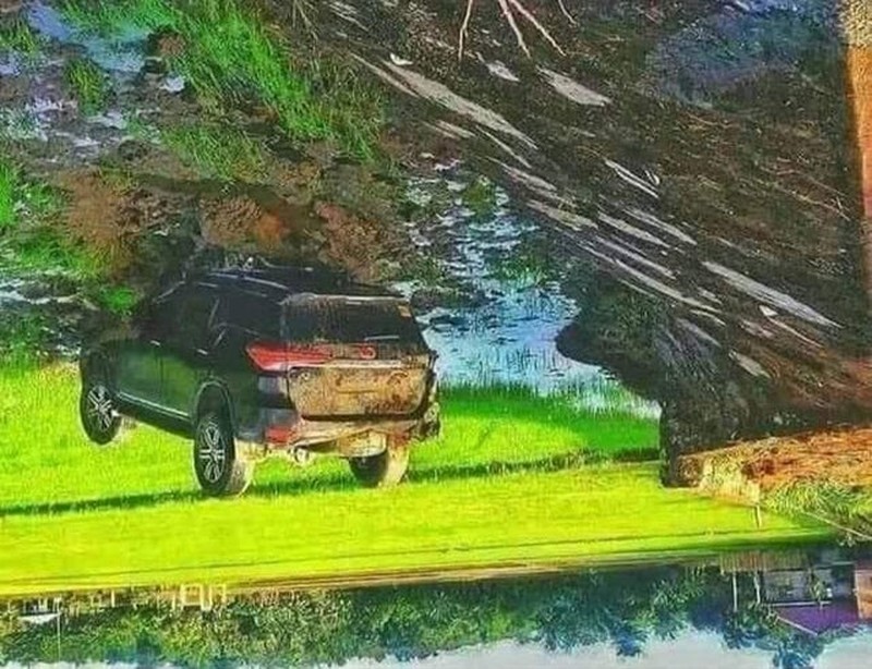 Foto yang mengecoh mata