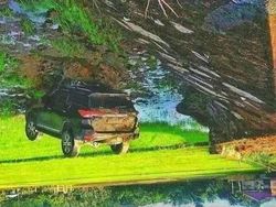 Awas Terkecoh! Lihat Foto Ini Jangan Sekilas