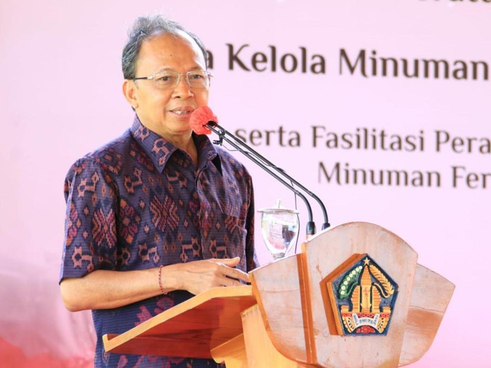 Gubernur Bali Wayan Koster (Dok. Pemprov Bali)