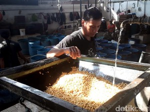 Pesan buat Pemerintah: Masalah Tahu Tempe Bukan Perkara Sepele!