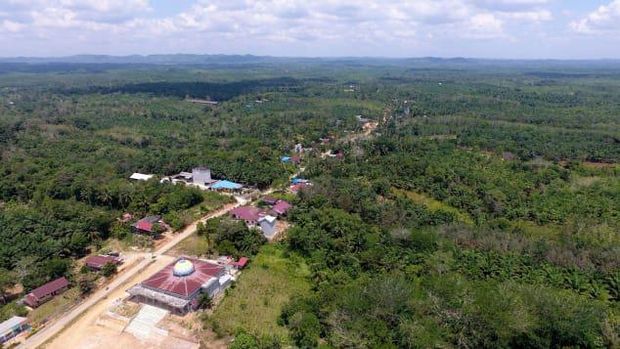 Ibu kota baru Indonesia dan orangutan Ibu kota baru Indonesia dan orangutan