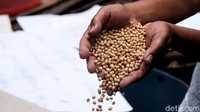 Perajin tahu tempe Indonesia biasanya memanfaatkan kedelai impor dari AS terkait rasa. Lanjutnya, harga kedelai ini diperkirakan masih tinggi sampai Mei mendatang.  